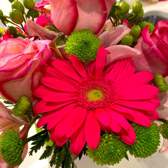 Meet your Posher, Jill - Picture 1 of 1